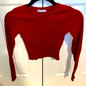 Zara Trafaluc Fall/Winter Collection long sleeve crop top